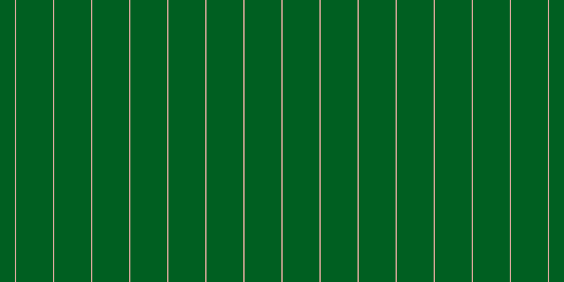 #005f21, #caa393 vertical lines, two pixels wide, fifty-two pixels apart