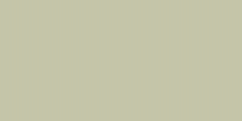 #00a100 (25%), #caa393 vertical lines, one pixels wide, one pixels apart