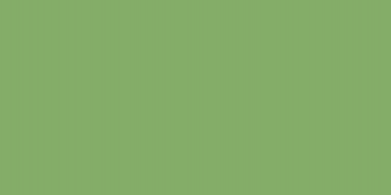#00a100 (75%), #caa393 vertical lines, one pixels wide, one pixels apart