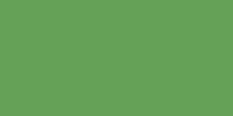 #00a11d, #caa393 vertical lines, one pixels wide, one pixels apart