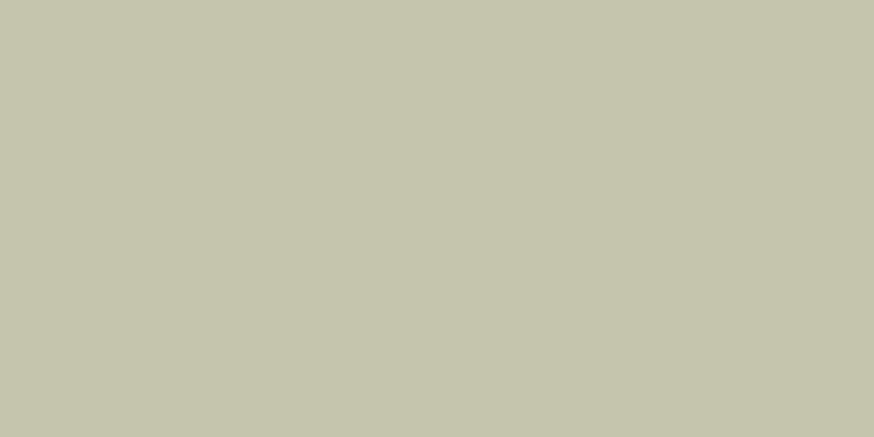#00a13e (25%), #caa393 vertical lines, one pixels wide, one pixels apart