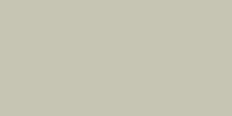 #00a142 (25%), #caa393 vertical lines, one pixels wide, one pixels apart