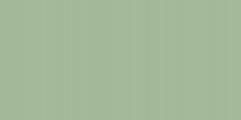 #00a142 (50%), #caa393 vertical lines, one pixels wide, one pixels apart