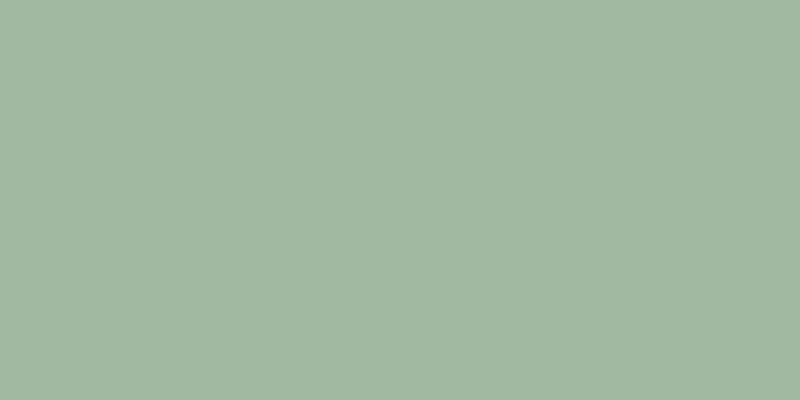 #00a15f (50%), #caa393 vertical lines, one pixels wide, one pixels apart