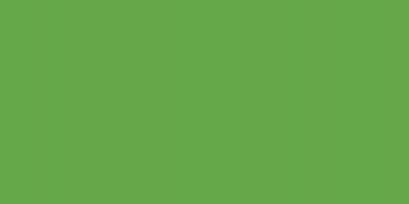 #01ac01, #caa393 vertical lines, one pixels wide, one pixels apart