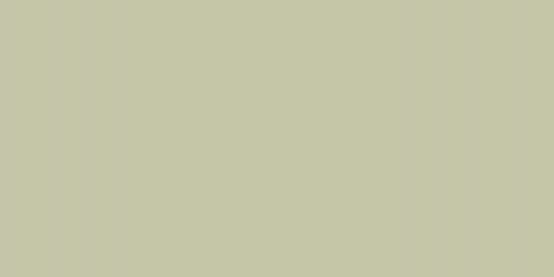 #01ac01 (25%), #caa393 vertical lines, one pixels wide, one pixels apart