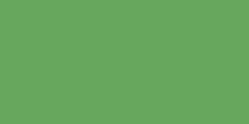 #01ac22, #caa393 vertical lines, one pixels wide, one pixels apart