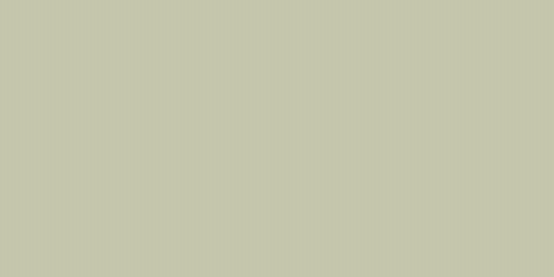 #01ac22 (25%), #caa393 vertical lines, one pixels wide, one pixels apart