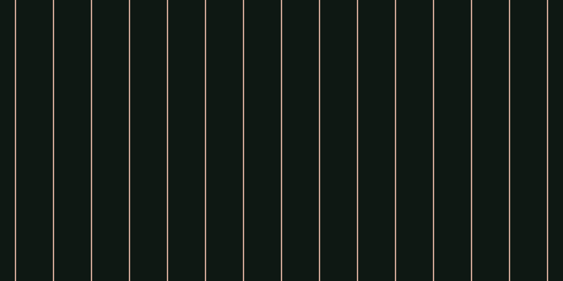 #0e1813, #caa393 vertical lines, two pixels wide, fifty-two pixels apart