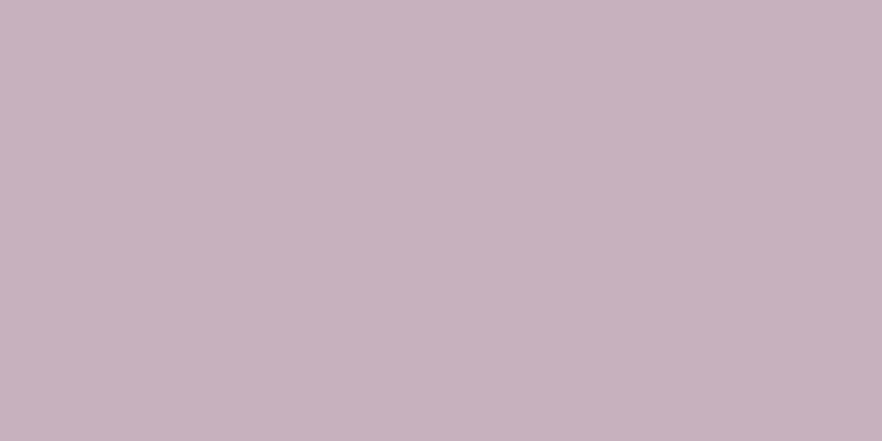 #1d00a1 (25%), #caa393 vertical lines, one pixels wide, one pixels apart