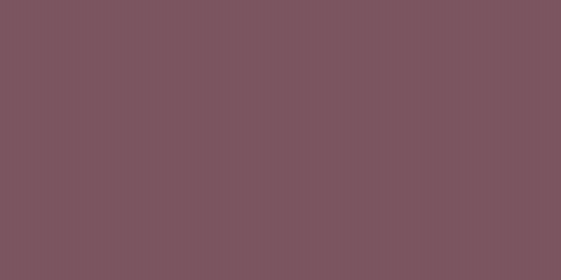 #2d072d, #caa393 vertical lines, one pixels wide, one pixels apart