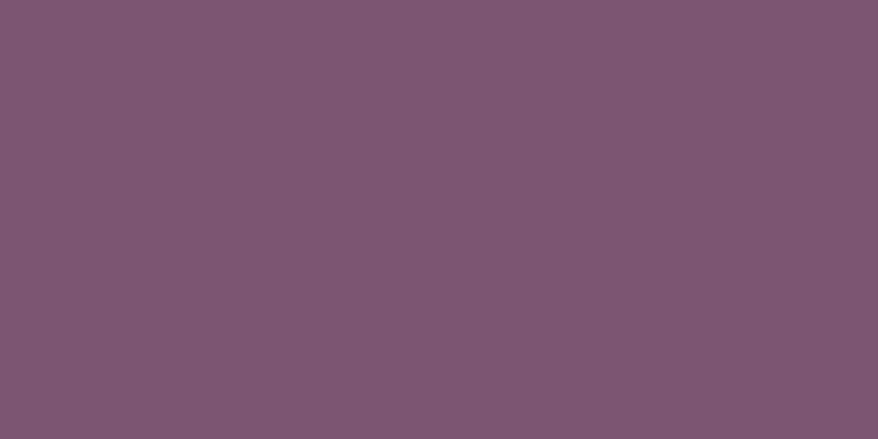 #2d074e, #caa393 vertical lines, one pixels wide, one pixels apart