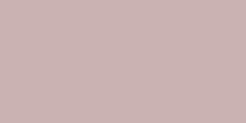 #2d074e (25%), #caa393 vertical lines, one pixels wide, one pixels apart