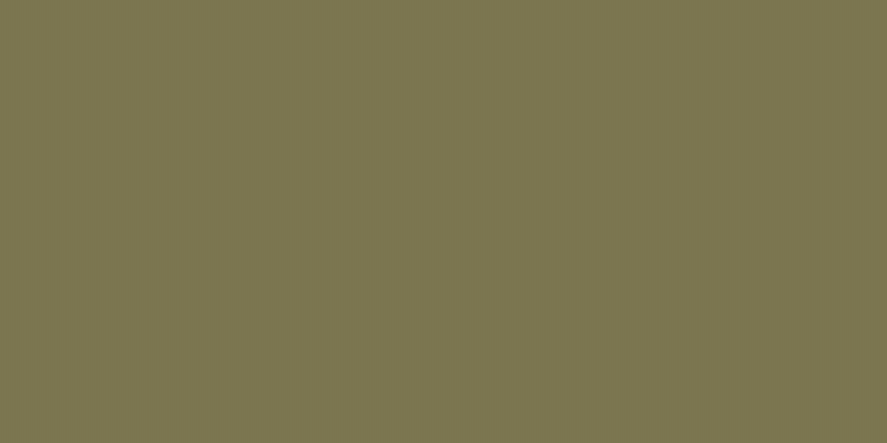 #2d490c, #caa393 vertical lines, one pixels wide, one pixels apart