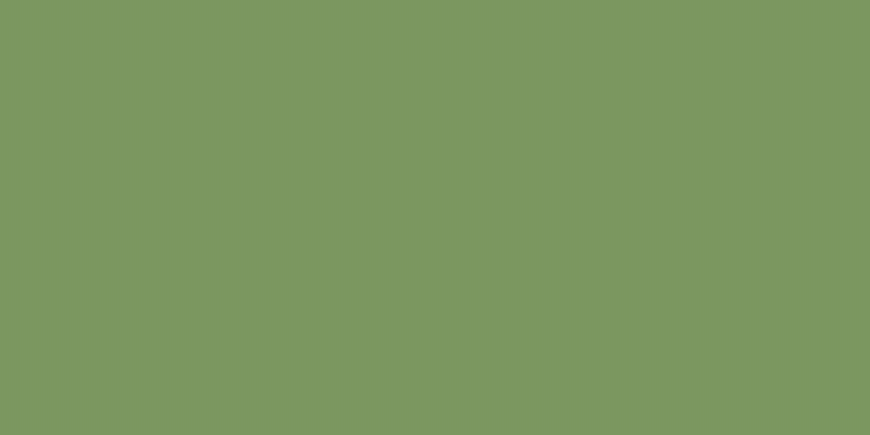 #2d8b2d, #caa393 vertical lines, one pixels wide, one pixels apart
