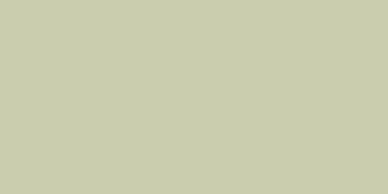 #2dee2d (25%), #caa393 vertical lines, one pixels wide, one pixels apart