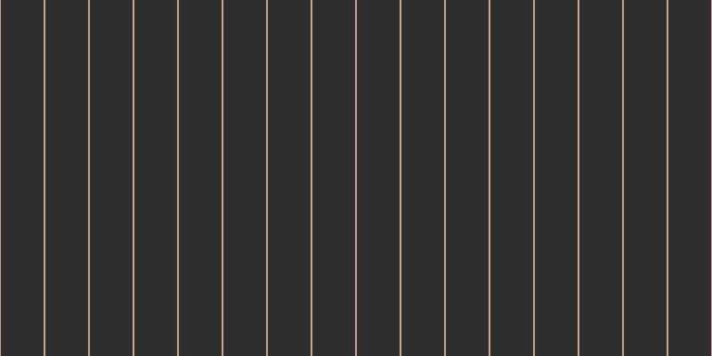 #2f2e2e, #caa393 vertical lines, two pixels wide, forty-eight pixels apart