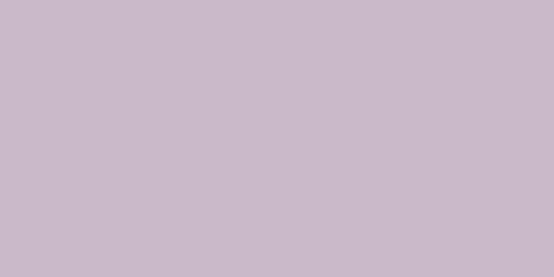 #2f39fa (25%), #caa393 vertical lines, one pixels wide, one pixels apart