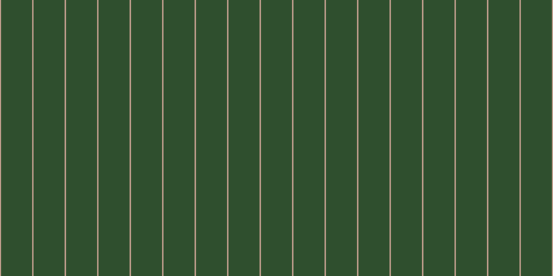 #2f4f2e, #caa393 vertical lines, two pixels wide, forty-five pixels apart
