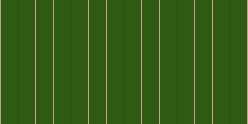 #2f5a13, #caa393 vertical lines, two pixels wide, fifty-five pixels apart