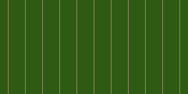 #2f5a13, #caa393 vertical lines, two pixels wide, seventy-one pixels apart