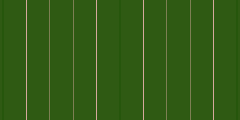 #2f5a13, #caa393 vertical lines, two pixels wide, seventy-six pixels apart