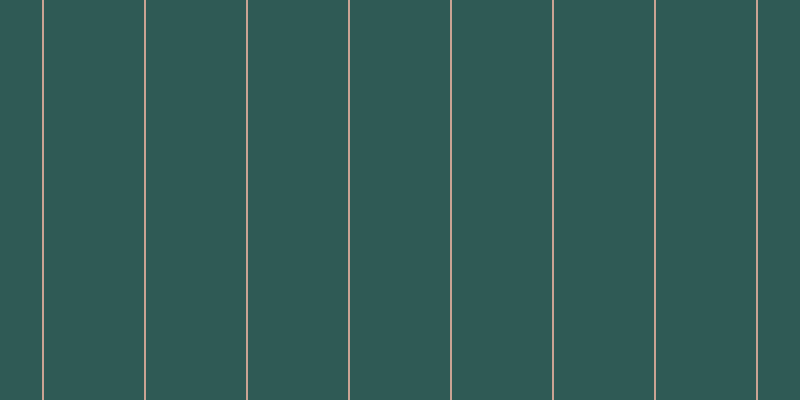 #2f5a55, #caa393 vertical lines, two pixels wide, one hundred pixels apart