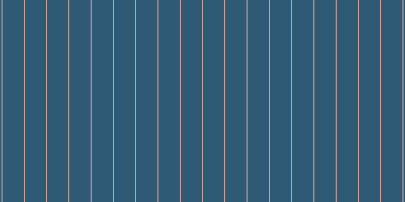 #2f5a76, #caa393 vertical lines, two pixels wide, forty-two pixels apart