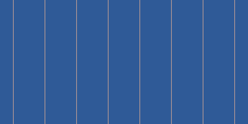 #2f5a97, #caa393 vertical lines, two pixels wide, one hundred pixels apart