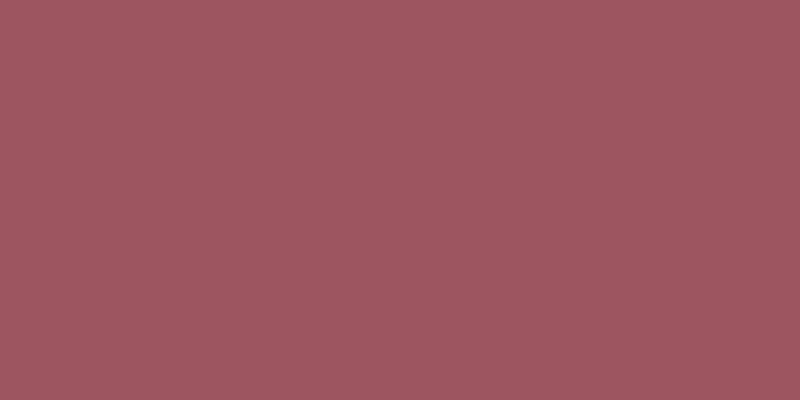 #4e072d, #eba393 vertical lines, one pixels wide, one pixels apart