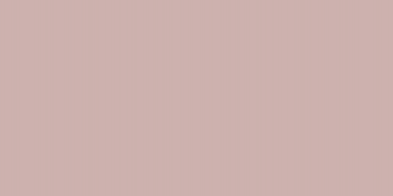#4e072d (25%), #caa393 vertical lines, one pixels wide, one pixels apart