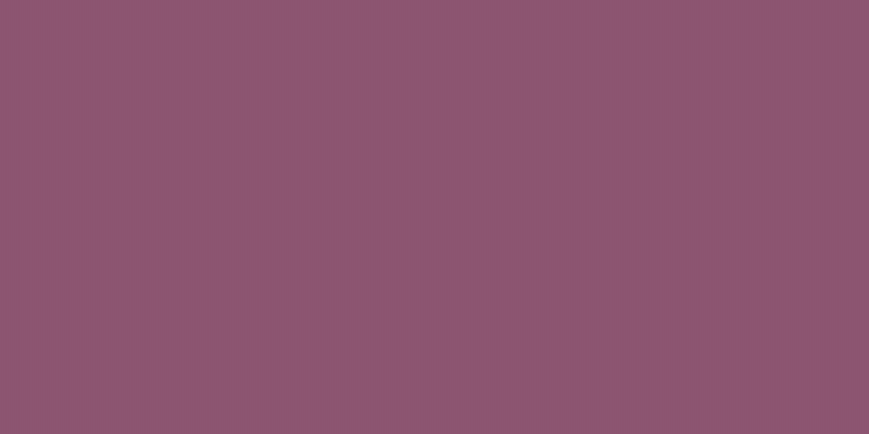 #4e074e, #caa393 vertical lines, one pixels wide, one pixels apart