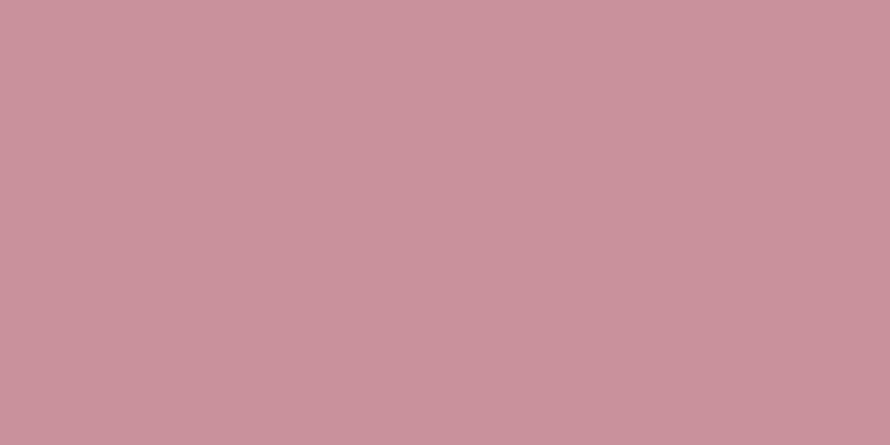 #4e074e (50%), #eba393 vertical lines, one pixels wide, one pixels apart