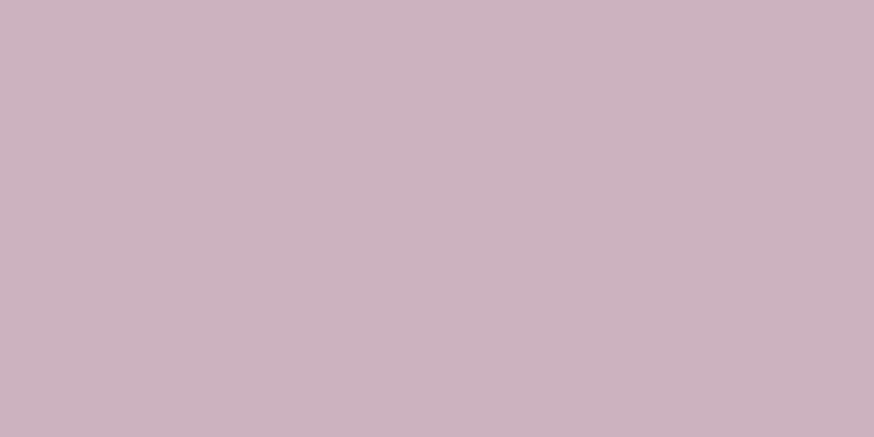 #4e07b1 (25%), #caa393 vertical lines, one pixels wide, one pixels apart