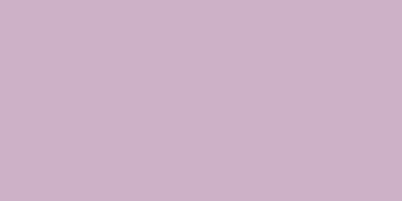 #4e07f3 (25%), #caa393 vertical lines, one pixels wide, one pixels apart