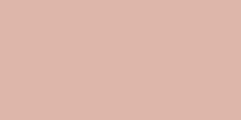 #4e280c (25%), #eba393 vertical lines, one pixels wide, one pixels apart
