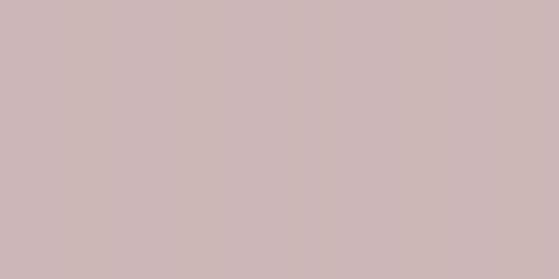 #4e286f (25%), #caa393 vertical lines, one pixels wide, one pixels apart