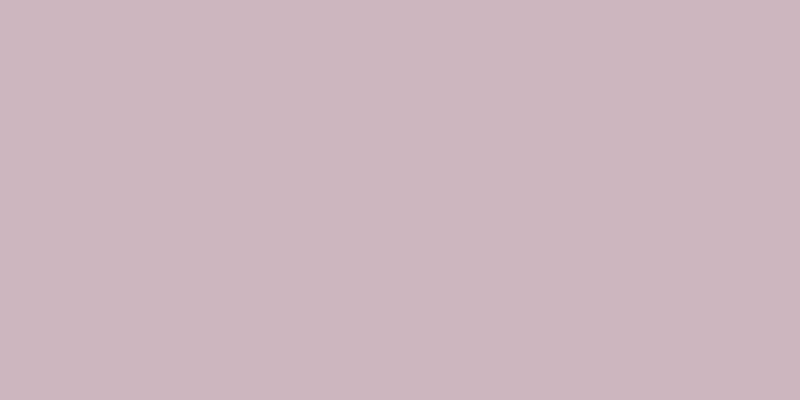 #4e28b1 (25%), #caa393 vertical lines, one pixels wide, one pixels apart