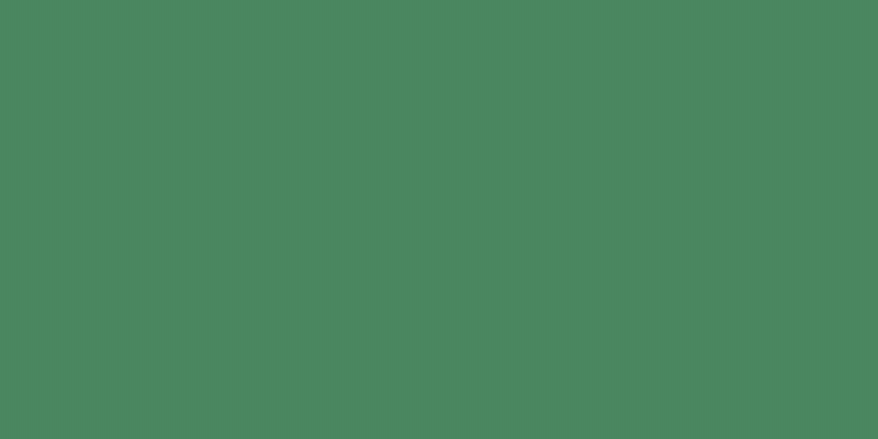 #4e6a2d, #46a393 vertical lines, one pixels wide, one pixels apart