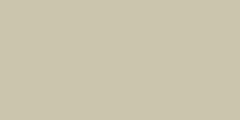 #4eac2d (25%), #caa393 vertical lines, one pixels wide, one pixels apart