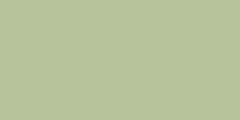 #4ecd4e (50%), #caa393 vertical lines, one pixels wide, one pixels apart