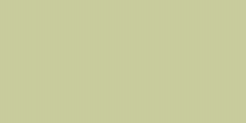 #4eee4e (50%), #eba393 vertical lines, one pixels wide, one pixels apart
