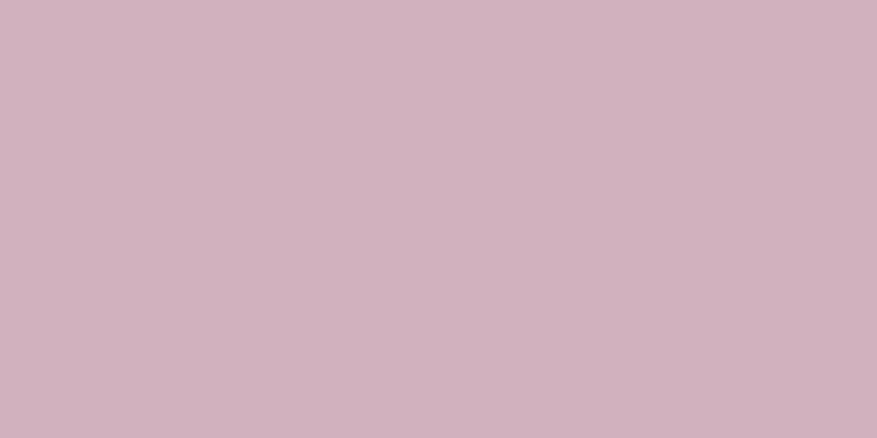 #5f00a1 (25%), #caa393 vertical lines, one pixels wide, one pixels apart