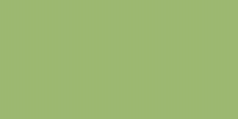#6fcd4e, #caa393 vertical lines, one pixels wide, one pixels apart