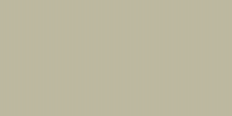 #afcdac, #caa393 vertical lines, one pixels wide, one pixels apart