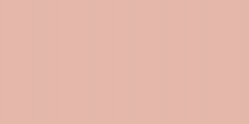 #c19c84 (50%), #eba393 vertical lines, one pixels wide, one pixels apart