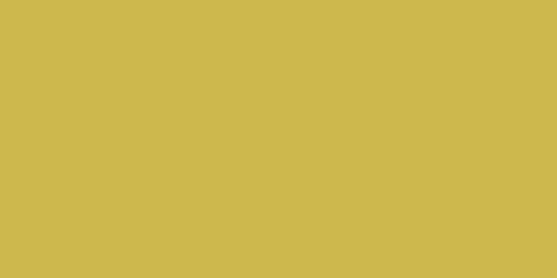 #d0cd07, #caa393 vertical lines, one pixels wide, one pixels apart