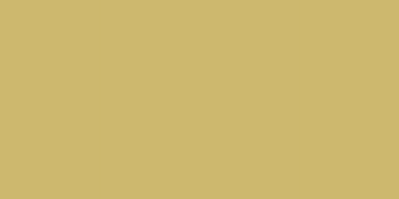 #d0cd49, #caa393 vertical lines, one pixels wide, one pixels apart