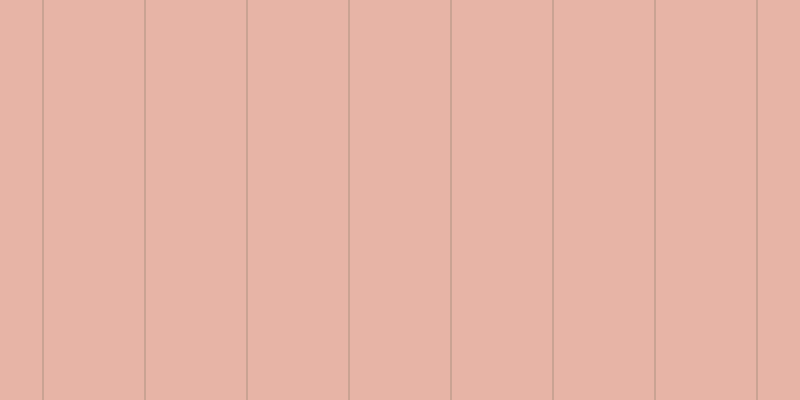 #d26a4e (50%), #caa393 vertical lines, two pixels wide, one hundred pixels apart