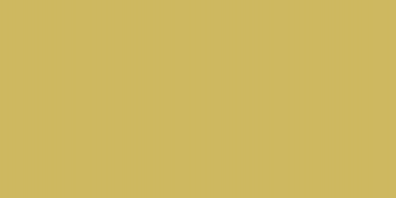 #d2cd2d, #caa393 vertical lines, one pixels wide, one pixels apart